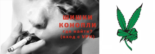 ECSTASY Богданович